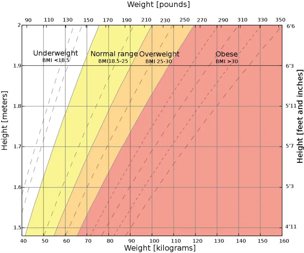 Grafico BMI per gli adulti